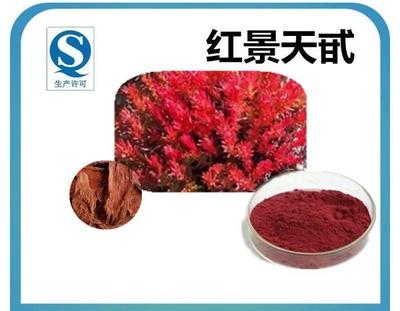 红景天苷