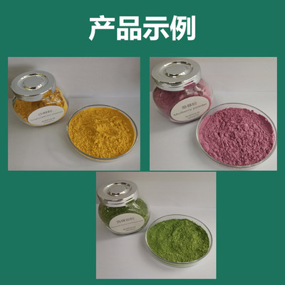 白萝卜叶提取物 植物萃取原料 精细粉末 芦菔叶粉