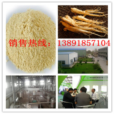 植物提取物-工厂热销人参皂甙80% 人参提取物 人参总皂甙 1公斤包邮-植物提取.