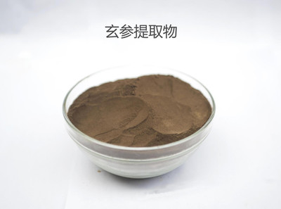 玄参提取物 10:1玄参粉 植物萃取工厂
