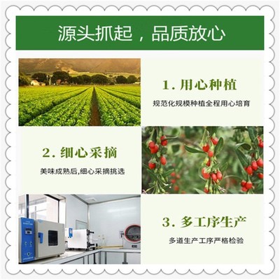 山楂叶浓缩粉 植物提取物 山楂叶粉