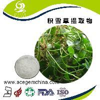 高纯度红参提取物 艾森格生物 品质保证_中国芜湖_艾森格_植物提取物-