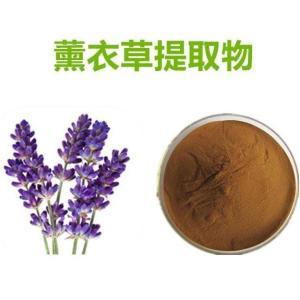 熏衣草