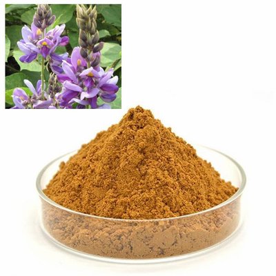 葛花提取物