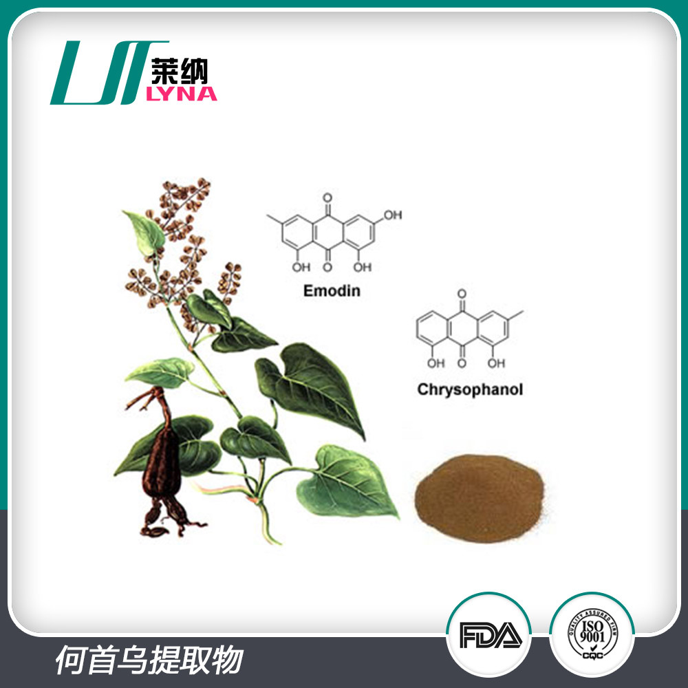 植物提取物-何首乌提取物 30:1 制何首乌提取 何首乌.