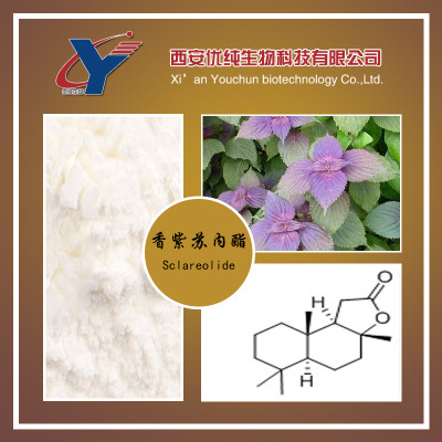 植物提取物-优纯生物供应 香紫苏提取物 98%香紫苏内酯 优质原料 品质保证-植.