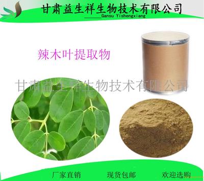 辣木叶提取物 辣木叶黄酮