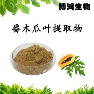 木瓜叶提取物植物提取物