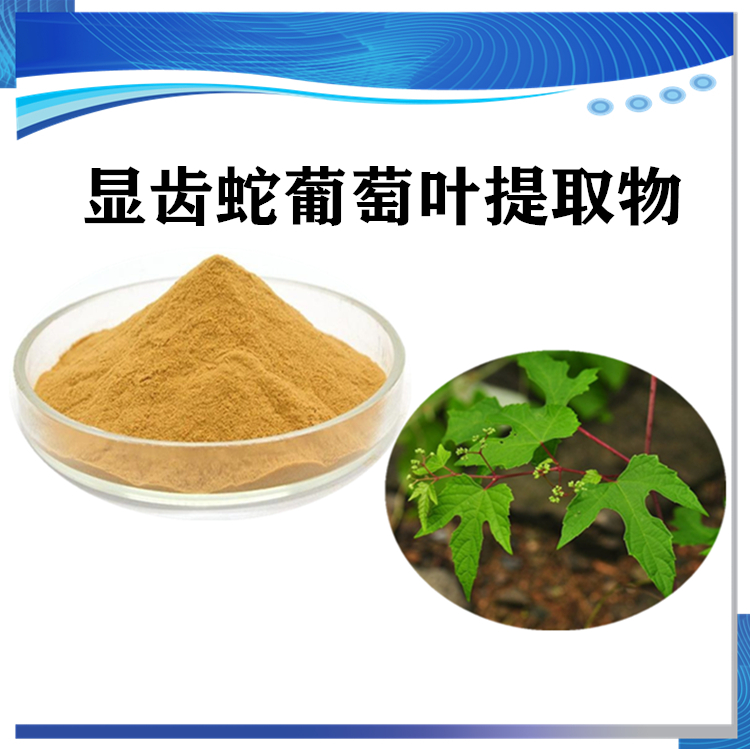 显齿蛇葡萄叶提取物 显齿蛇葡萄叶粉 新资源食品_其他产品.