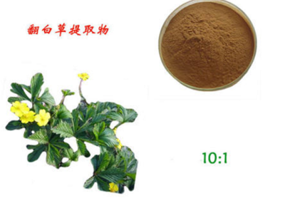 翻白草提取物