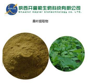 *样品 博尔塔拉*绞股蓝提取物