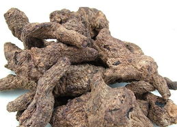 生地提取物10 1价格 生地提取物10 1型号规格