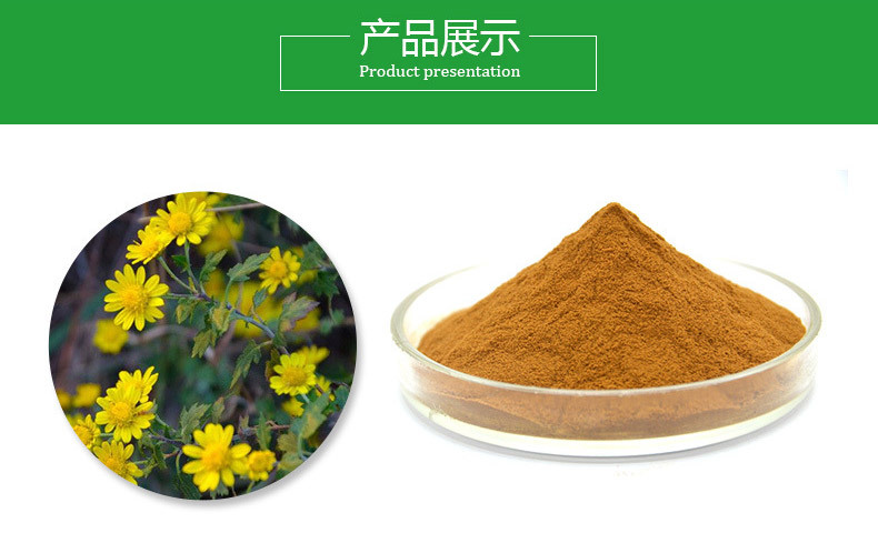 野菊花提取物