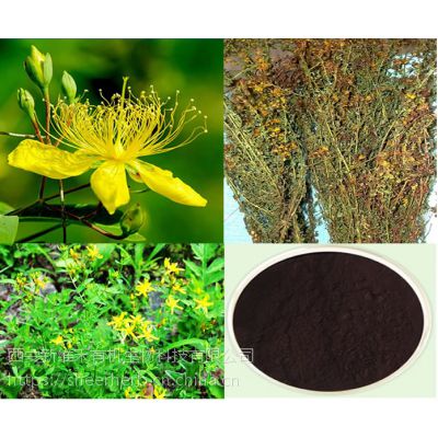 有机植物提取物贯叶连翘提取物工厂价现货