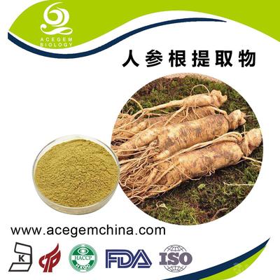 人参提取物 人参茎叶提取物 人参皂甙20%_中国芜湖_艾森格_植物提取物-