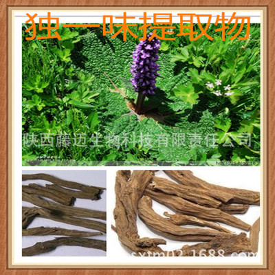 植物提取物-天然独一味提取物 消肿止痛 厂家供应优质独一味黄酮8%-植物提取物尽.