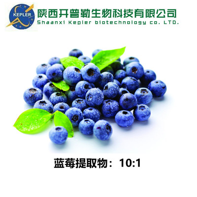 蓝莓粉 萍乡提取物工厂蓝莓果粉