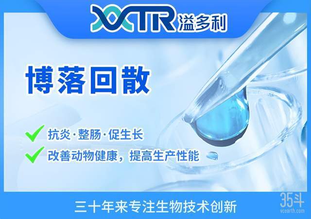 动植物绿色替代,看看海外独角兽怎么做