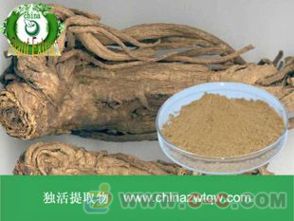 南箭牌植物提取物 独活提取物远成销售
