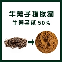牛蒡子提取物牛蒡子甙50 纯植物提取物 欢迎选购