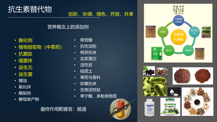 肠·道 | 马曦:23分钟详解替代抗生素促进肠道健康的三大武器