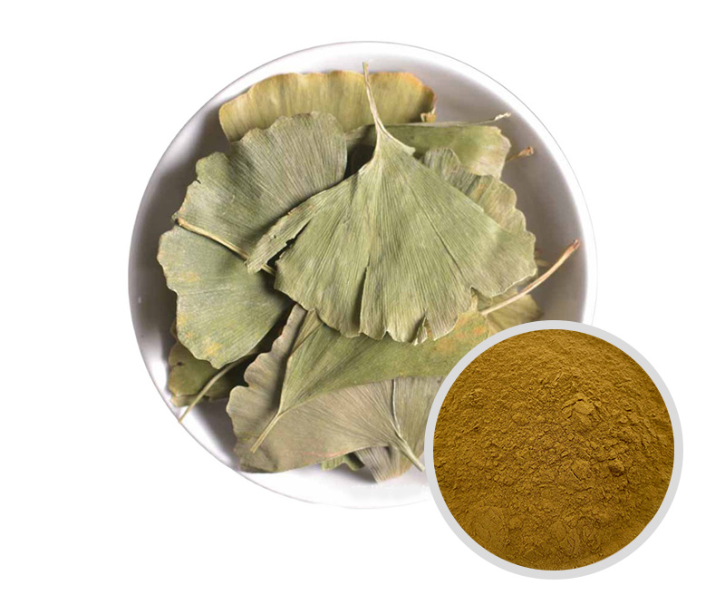 银杏叶提取物 水解小分子提取物_植物提取物_产品中心_山东通圆共和生