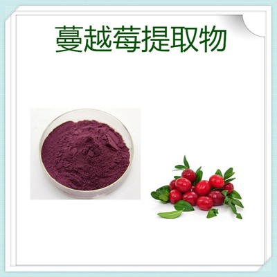 厂家现货供应 植物提取物 桑葚提取物 鑫茂源 原花青素5%