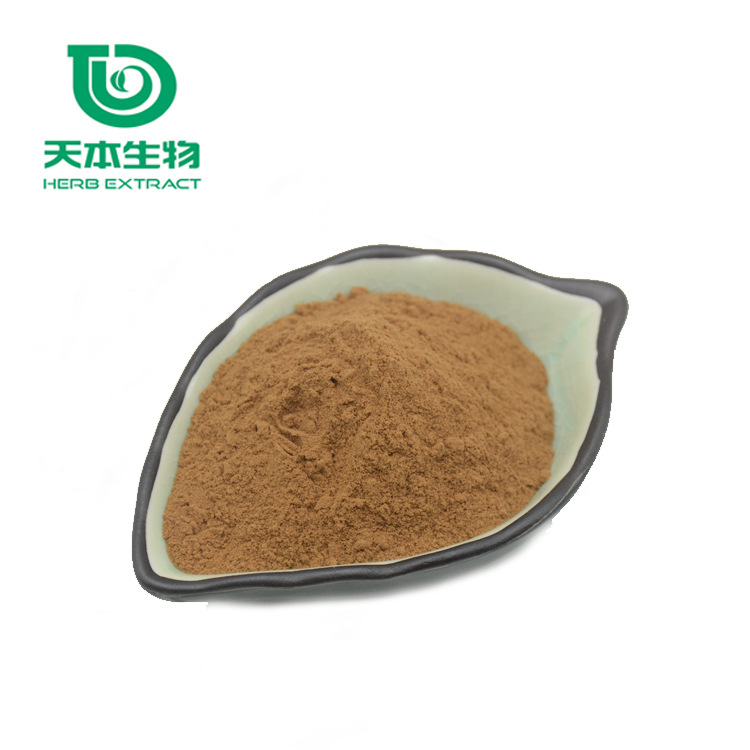 西安天本 植物提取物 当归提取物粉 高比例10:1 提取物 厂家批发