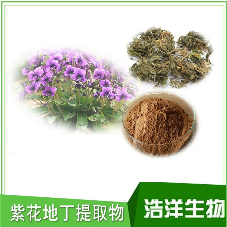苦地丁提取物 紫花地丁提取物 小鸡菜提取物
