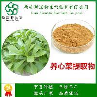 桂花浸膏 1.0-1.3 西安斯诺特 产品均可定制 常规桶装批发价格@三原-