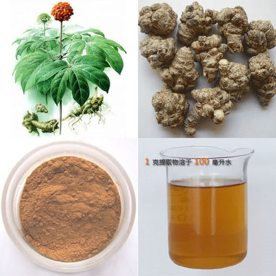 三七提取物 总皂苷