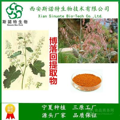 血根碱40%含量 博落回提取 西安斯诺特纯植物 天然原料萃取