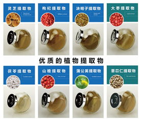 鸡内金提取物生产厂家 固体饮料代加工 50ml液体饮料代加工 oem