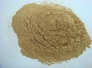 植物提取物-Ginkgo Biloba P.E. 银杏叶提取物-植物提取物尽在阿.