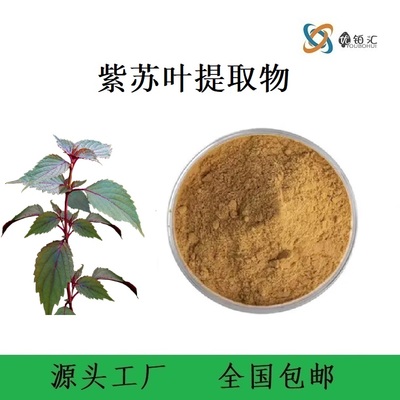 紫苏叶提取物生产厂家