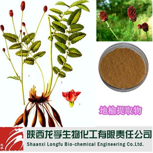 植物提取物-专业厂家现货直销 优质 纯天然 地榆提取物 地榆皂甙-植物提取物尽在.