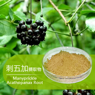 辽宁14902-16-8 长春刺五加甙植物提取物成分用途