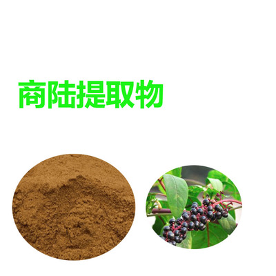 甘肃斯诺特 商陆提取物 免费寄样品 商陆粉