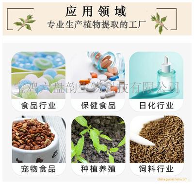 莲子粉