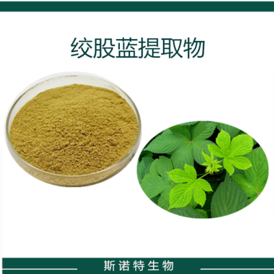 绞股蓝多糖植物萃取比例浓缩 绞股蓝提取物 斯诺特生物