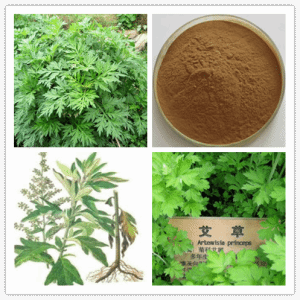 艾草提取物