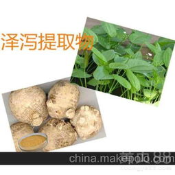 【供应泽泻提取物植物提取物功效】- 