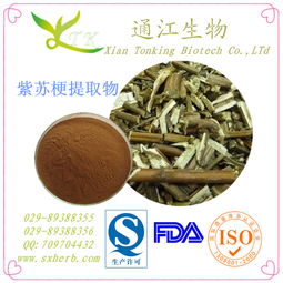 供应紫苏梗提取物 通江生物 现货供应 植物提取物 西安厂家 资证齐全