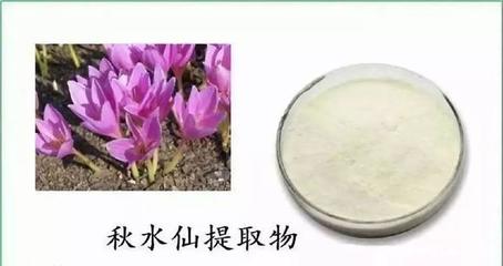 用西瓜给汽车加油
