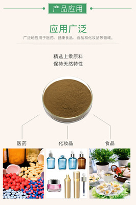 罗望子提取物10:1 昊辰工厂直供植物提取物 罗望子粉 角酸提取物