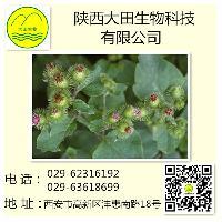 供应牛蒡子提取物 植物提取物 厂家直销批发价格@西安 陕西大田生物 植物提取物-