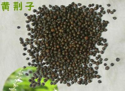 黄荆子提取物_中国兰州_兰州沃特莱斯生物科技_植物提取物-