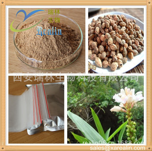 植物提取物-厂家现货供应益智仁提取物,湿脾止泻优质原料-植物提取物尽在阿里巴巴-.