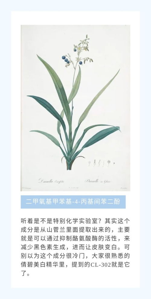 植物护肤品,植物提取物,怎么又成智商税了