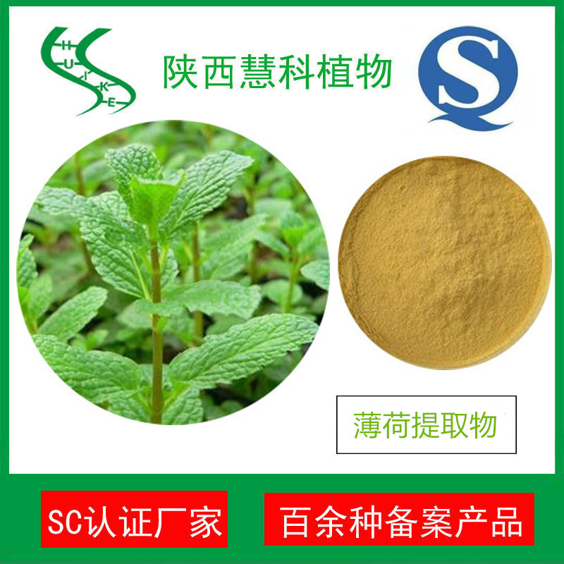 薄荷提取物20:1 天然薄荷粉 QS认证 产地直销